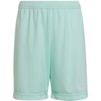 Adidas Junior Entrada 22 Shorts - Blue
