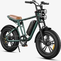 ENGWE M20 Electric Bike 25 km/h Dual Suspension Single Battery
