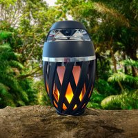 Garden Stake Light & Wireless Speaker - Rechargeable